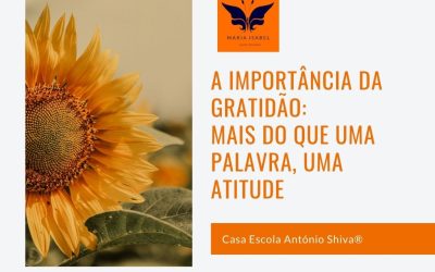 A Importância da Gratidão: Mais do que uma Palavra, uma Atitude